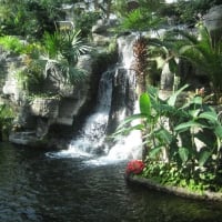 Inside the Gaylord Opryland Hotel