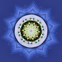 Leafy Mandala 1