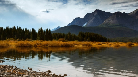 mountain lake - lake, forest, fun, nature, mountain