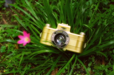 Camera and Hazy Flower - camera, hazy, gold, flower, nature, fuzzy, fuzzyeyeballs, technology, mix