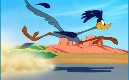 road runner - desert, road, bird, runner