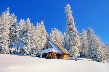 Winter hut - cottage, hut, slope, sky, mountain, trees, winter, snow, beautiful, frost, house, cabin