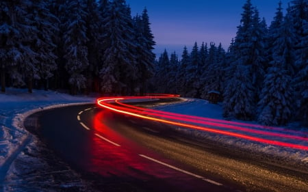 Winter Road - nature, trees, snow, winter, road