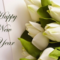 Happy New Year