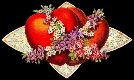 Happy Valentine's Day! - red, flower, valentine, vintage, black, heart