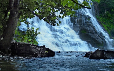 Waterfalls - rock, waterfalls, forest, trees