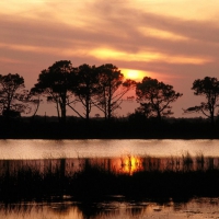 Outer Banks - Roanoke Sound - North Carolina