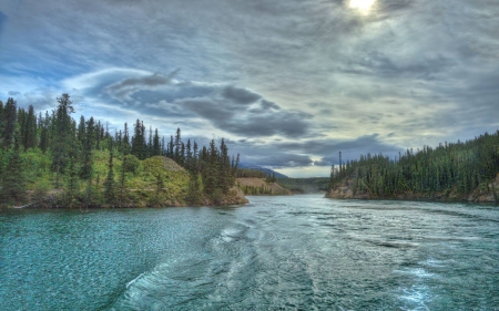 forest river - nature, fun, forest, cool, river