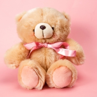 Teddy Bear