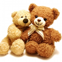 Teddy Bears