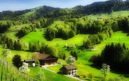 Village in the Valley - nature, village, valley, trees, house, grass