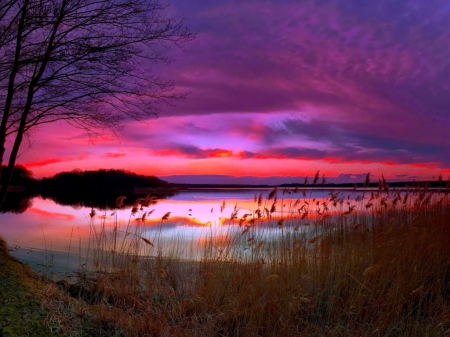 Purple Sunset - lake, nature, amazing, sunset