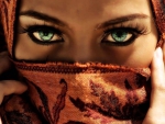 Captivating Eyes..