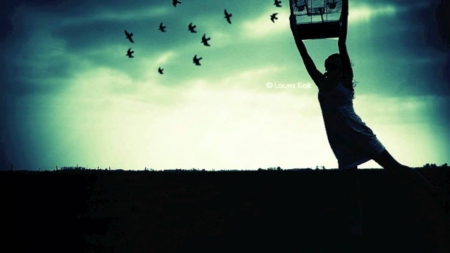 Freedom..here we come! :) - hope, freedom, free, birds