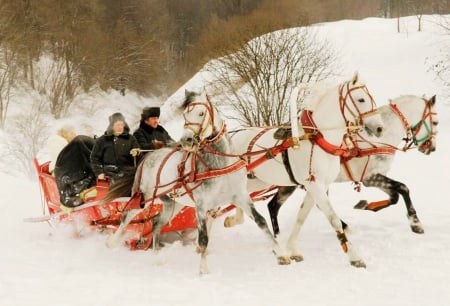 Horse Troika - snow, sleigh, winter, people