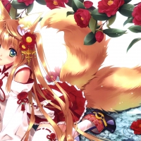 Kitsune Chan