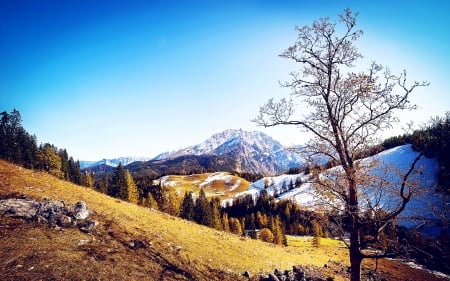 autumn mountains - hill, uatumn, tree, mountain, grass