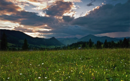 mountain field - cool, field, fun, nature, mountain