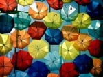 Colorful Umbrellas