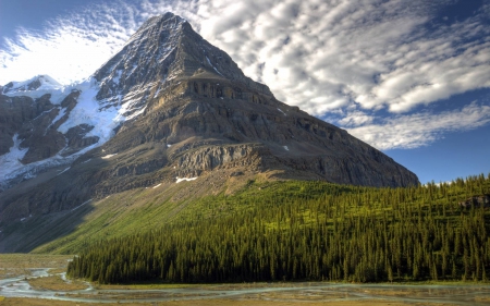 mountain forest - nature, fun, forest, mountain, cool