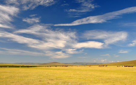 field - field, fun, nature, cool