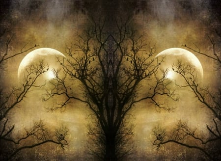 Dark Night - collage, moon, dark, tree, art