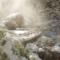 Winter