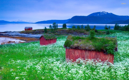 Small Lakeside Houses in Norway - fields, nature, houses, lake, mountains, architecutre, landscapes