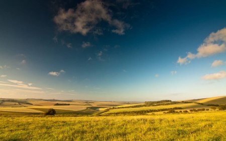 field - field, fun, nature, cool