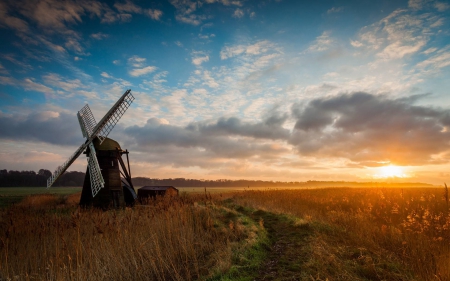 field sunset - nature, fun, cool, sunset, field