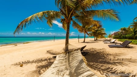 Hammock on Tropical Beach - nature, beaches, palm trees, hammock, tropical