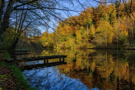 * Beauty autumn river * - nature, fall, autumn, river