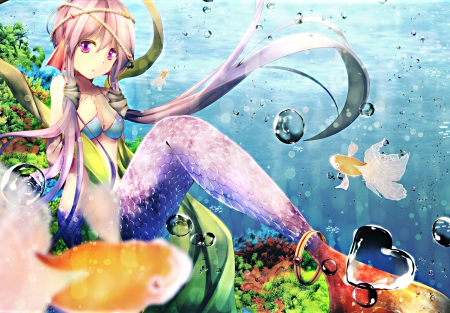 Vocaloid Mermaid - tail, wallpaper, water, bubbles, vocaloid, anime, anime girl, ocean, purple hair, long hair, yuzuku yukari, mermaid, pink hair, fish, sea, underwater