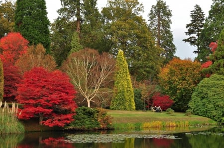 âœ¿âŠ±â€¢â•®Colorful parkâ•­â€¢âŠ°âœ¿ - paek, fall, nature, autumn