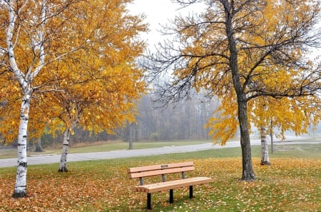 âœ¿âŠ±â€¢â•®Autumnâ•­â€¢âŠ°âœ¿ - trees, park, natre, autumn