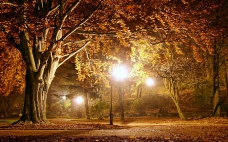 ✿⊱•╮Lights in autumn park╭•⊰✿ - snow, winter, nature, park