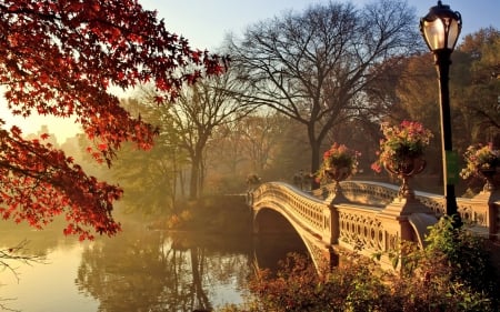 ✿⊱•╮╭•⊰✿ - lake, trees, nature, bridge