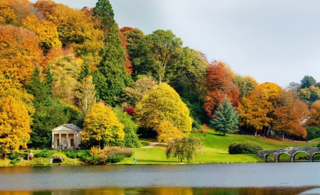 ✿⊱•╮Forest╭•⊰✿ - trees, forest, nature, autumn