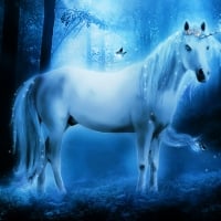 Beautiful Unicorn