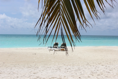 Meeru - palm trees, white sand, blue seas, peaceful