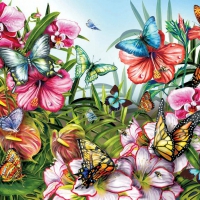 BUTTERFLIES