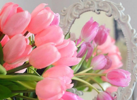 ╭♥╯Tulips in Mirror╭♥╯