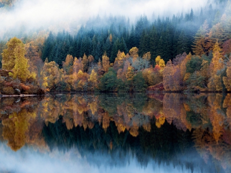 Autumn Lake - lake, forest, multicolor, reflection, autumn