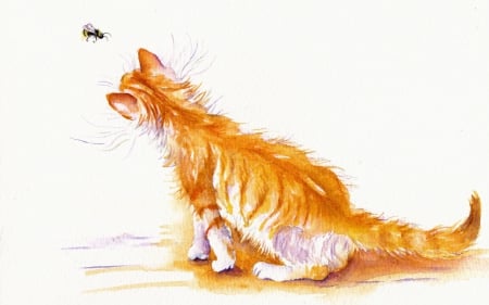 Cat - white, painting, art, bee, cat, animal, orange, ginger