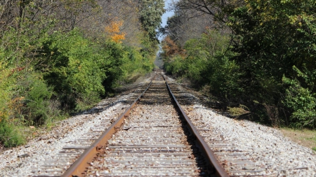 Destination Unknown - Train, empty, tracks, trees