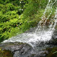 Waitakere-Waterfall