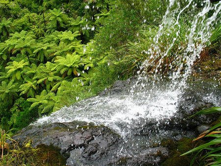 Waitakere-Waterfall - nature, waterfall