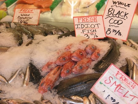 Seattle Pike Market - Idiot Fish - funny, seattle, pike, market, fish