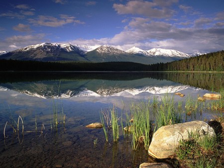 Mountains on the horizon - lake, reeds, mountains, rocks, reflection, clouds