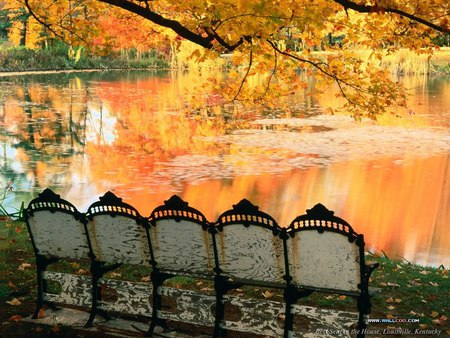 By the Lake - chairs, autumn colours, lake, view